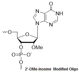 Bio-Synthesis Inc. Oligo Structure